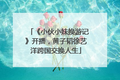 《小伙小妹换游记》开播，黄子韬徐艺洋跨国交换人生