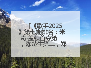 《歌手2025》第七期排名：米奇·盖顿首夺第一，陈楚生第二，郑欣宜将参加下一轮张榜赛