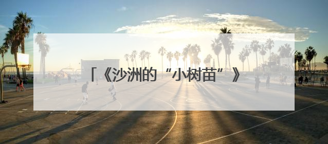 《沙洲的“小树苗”》新书首发式：让红色文化在新时代少年心中绽放