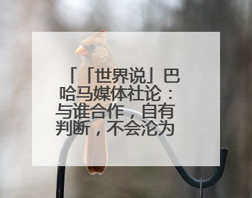 「世界说」巴哈马媒体社论：与谁合作，自有判断，不会沦为“权力游戏”