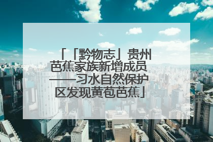 「黔物志」贵州芭蕉家族新增成员——习水自然保护区发现黄苞芭蕉