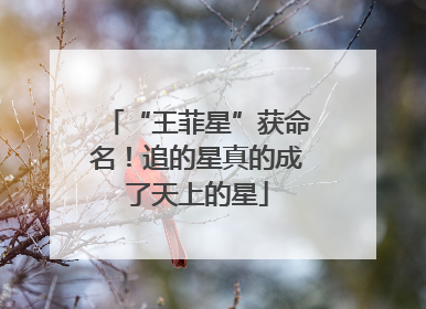 “王菲星”获命名！追的星真的成了天上的星