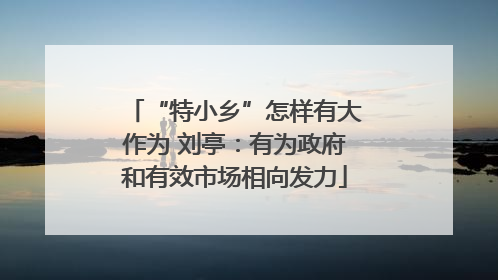 “特小乡”怎样有大作为 刘亭：有为政府和有效市场相向发力