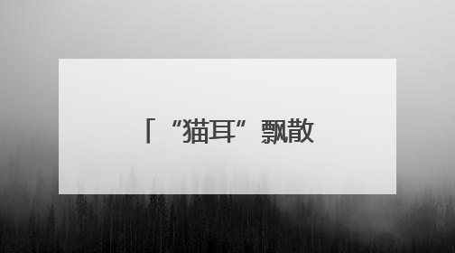 “猫耳”飘散荷香：一座江心岛的生态蜕变