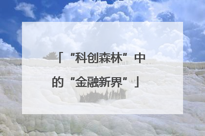 “科创森林”中的“金融新界”