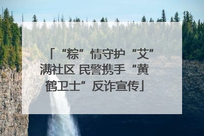 “粽”情守护“艾”满社区 民警携手“黄鹤卫士”反诈宣传