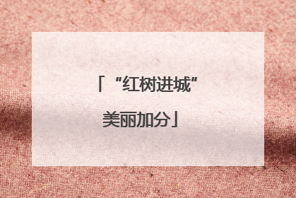 “红树进城” 美丽加分