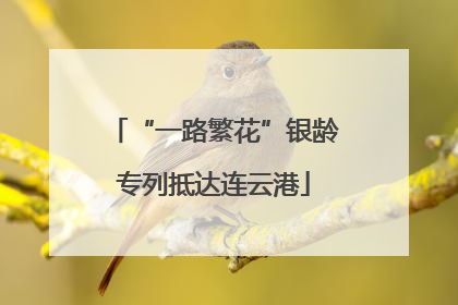 “一路繁花”银龄专列抵达连云港