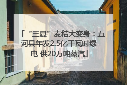 “三夏”麦秸大变身：五河县年发2.5亿千瓦时绿电 供20万吨蒸汽