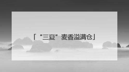 “三夏”麦香溢满仓