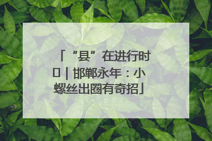 “县”在进行时⑬｜邯郸永年：小螺丝出圈有奇招