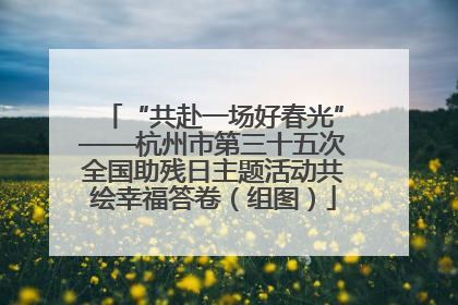“共赴一场好春光”——杭州市第三十五次全国助残日主题活动共绘幸福答卷（组图）