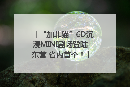 “加菲猫”6D沉浸MINI剧场登陆东营 省内首个！