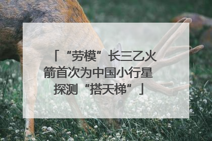 “劳模”长三乙火箭首次为中国小行星探测“搭天梯”