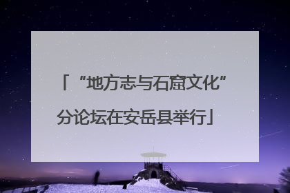 “地方志与石窟文化”分论坛在安岳县举行