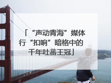 “声动青海”媒体行“扣响”暗格中的千年吐蕃王冠