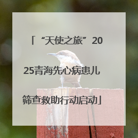 “天使之旅”2025青海先心病患儿筛查救助行动启动
