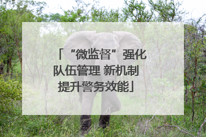 “微监督”强化队伍管理 新机制提升警务效能