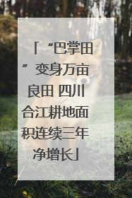 “巴掌田”变身万亩良田 四川合江耕地面积连续三年净增长