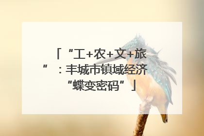 “工+农+文+旅”：丰城市镇域经济“蝶变密码”