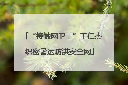 “接触网卫士”王仁杰织密暑运防洪安全网