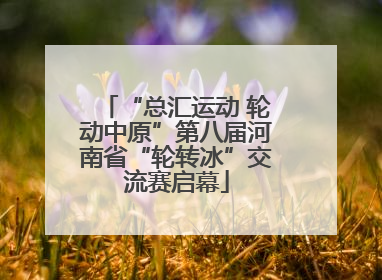 “总汇运动 轮动中原”第八届河南省“轮转冰”交流赛启幕