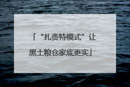 “扎赉特模式”让黑土粮仓家底更实