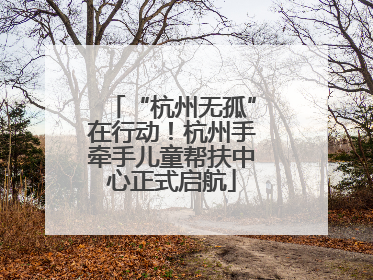 “杭州无孤”在行动！杭州手牵手儿童帮扶中心正式启航