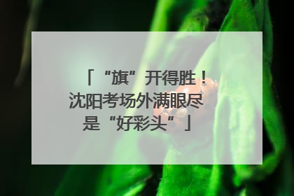 “旗”开得胜！沈阳考场外满眼尽是“好彩头”