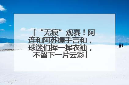 “无痕”观赛！阿连和阿苏握手言和，球迷们挥一挥衣袖，不留下一片云彩
