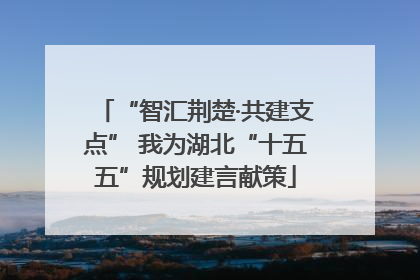 “智汇荆楚·共建支点” 我为湖北“十五五”规划建言献策