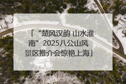 “楚风汉韵 山水淮南”2025八公山风景区推介会惊艳上海