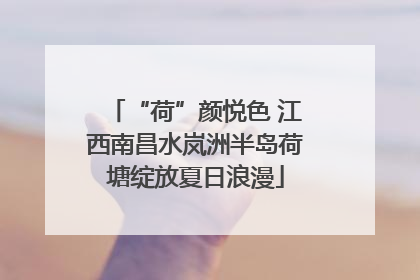 “荷”颜悦色 江西南昌水岚洲半岛荷塘绽放夏日浪漫