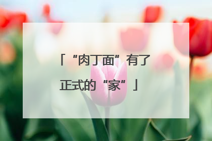 “肉丁面”有了正式的“家”