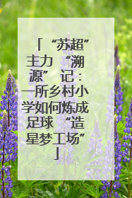 “苏超”主力 “溯源” 记：一所乡村小学如何炼成足球 “造星梦工场”