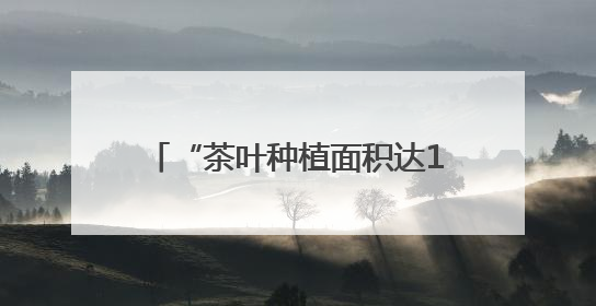 “茶叶种植面积达12.5万亩，全产业链产值达57亿元” 浙江武义茶产业全链发展“加速度”