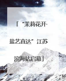 “茉莉花开·盐艺直达”江苏滨海站启幕