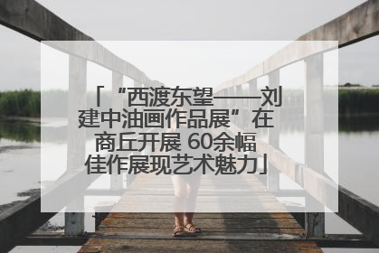 “西渡东望——刘建中油画作品展”在商丘开展 60余幅佳作展现艺术魅力