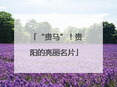 “贵马”！贵阳的亮丽名片