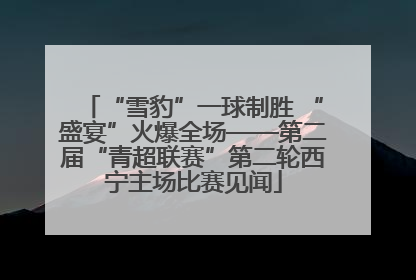 “雪豹”一球制胜 “盛宴”火爆全场——第二届“青超联赛”第二轮西宁主场比赛见闻