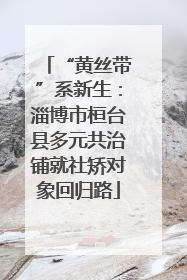 “黄丝带”系新生：淄博市桓台县多元共治铺就社矫对象回归路