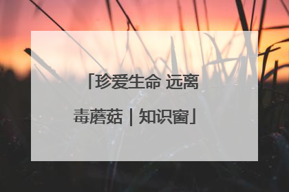 珍爱生命 远离毒蘑菇｜知识窗