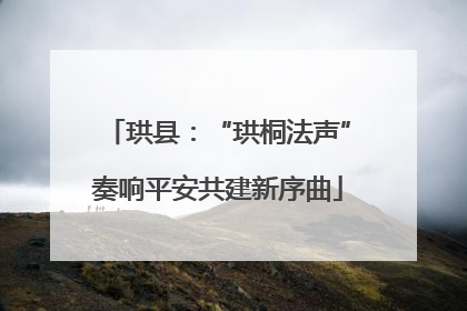 珙县：“珙桐法声”奏响平安共建新序曲