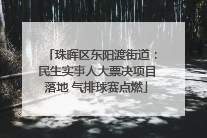 珠晖区东阳渡街道：民生实事人大票决项目落地 气排球赛点燃