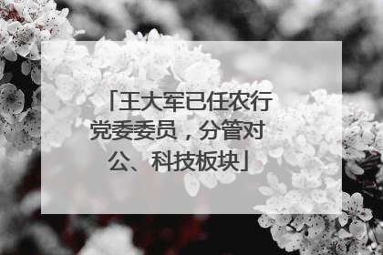 王大军已任农行党委委员，分管对公、科技板块