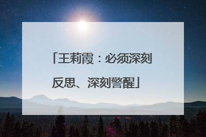 王莉霞：必须深刻反思、深刻警醒
