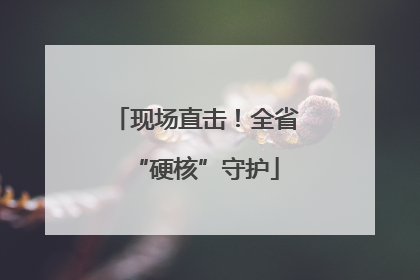 现场直击！全省“硬核”守护