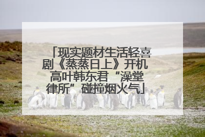 现实题材生活轻喜剧《蒸蒸日上》开机 高叶韩东君“澡堂律所”碰撞烟火气