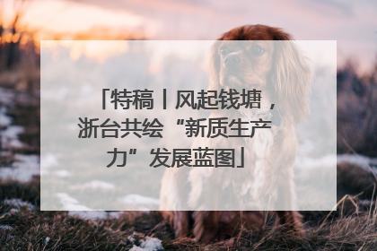 特稿丨风起钱塘，浙台共绘“新质生产力”发展蓝图