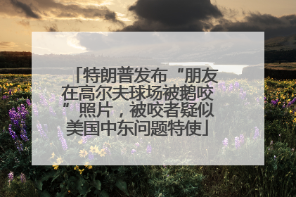 特朗普发布“朋友在高尔夫球场被鹅咬”照片，被咬者疑似美国中东问题特使